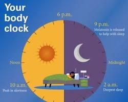 Circadian Alignment: Training with Your Biological Clock
