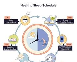 Circadian Alignment: Training with Your Biological Clock