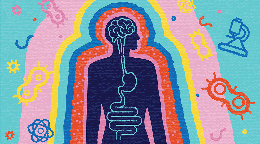 Visualization of the human microbiome and neural pathways linking digestive health to concentration and focus.