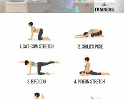 Bulletproof Joints: The 2026 Daily 5-Minute Mobility Flow (Complete Clinical Guide)