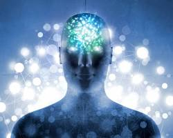 Neuro-Fitness Explained Simply