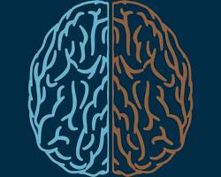 Neuro-Fitness Explained Simply