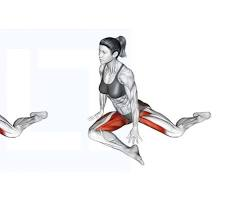 Bulletproof Joints: The 2026 Daily 5-Minute Mobility Flow (Complete Clinical Guide)