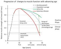Fat Loss Becomes Harder After 40