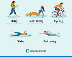 The Science of Active Recovery Between Training Sessions