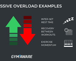 Progressive Overload Explained Without Complicated Gym Jargon