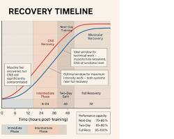 Progressive Overload Explained Without Complicated Gym Jargon