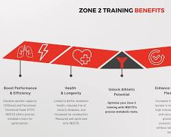 The Hidden Benefits of Zone 2 Cardio for Everyday Health