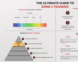 Training Frequency vs. Training Intensity: What Matters Most?