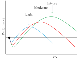 Training Frequency vs. Training Intensity: What Matters Most?