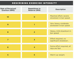 Training Frequency vs. Training Intensity: What Matters Most?